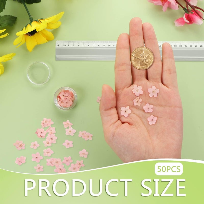 DREMISI 50Pcs Forget Me Not Dried Flowers Don't Forget Me Dried Flowers Natural Dried Pressed Flowers with Forceps for Resin Jewelry Making Candle Nail Art Flower Ornaments Paper Making Supplies, Pink - Image 2